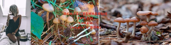 трава Краснослободск