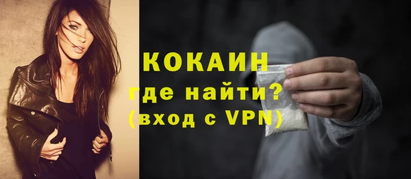 индика Волоколамск