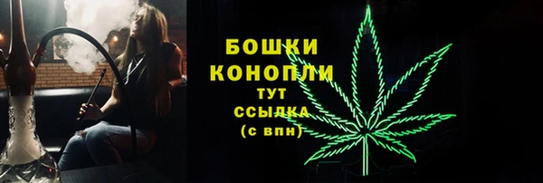 индика Волоколамск