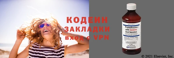 индика Волоколамск
