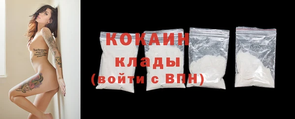 индика Волоколамск