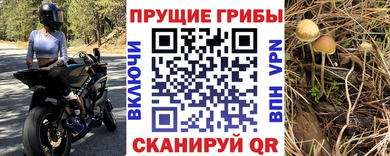 Галлюциногенные грибы ЛСД  Можайск 