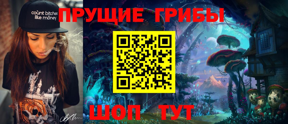 где купить   Можайск  Галлюциногенные грибы Psilocybe 