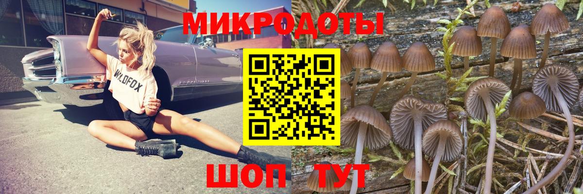 Псилоцибиновые грибы прущие грибы Можайск