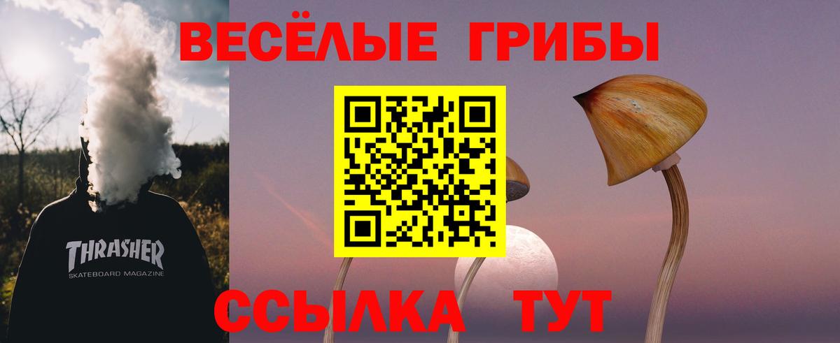 A-PVP Можайск