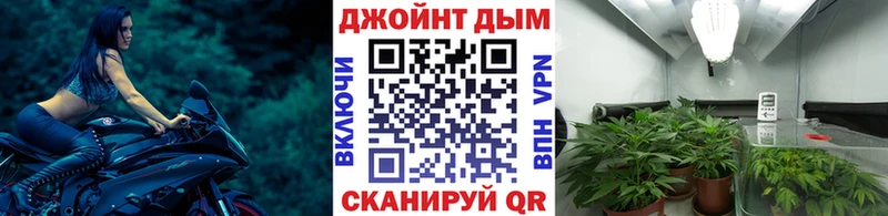Конопля SATIVA & INDICA Можайск